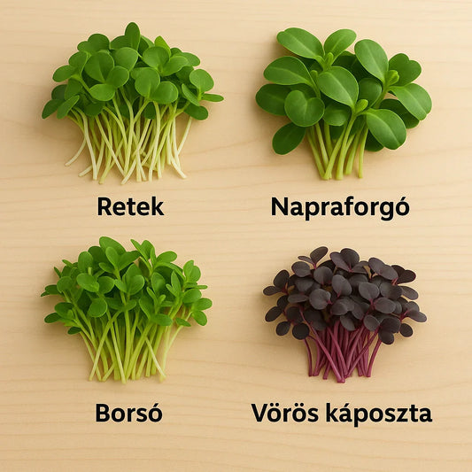 Melyik mikrozöld illik hozzád? – Válassz ízlésed szerint! 🌱