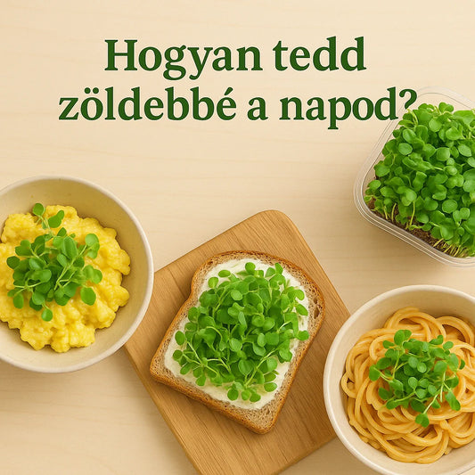 Hogyan tedd zöldebbé a napod? – Mikrozöldek reggelire, ebédre, vacsorára 🌿