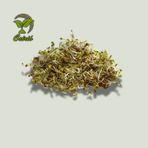 Brunnenkresse-Sprossensamen 50g
