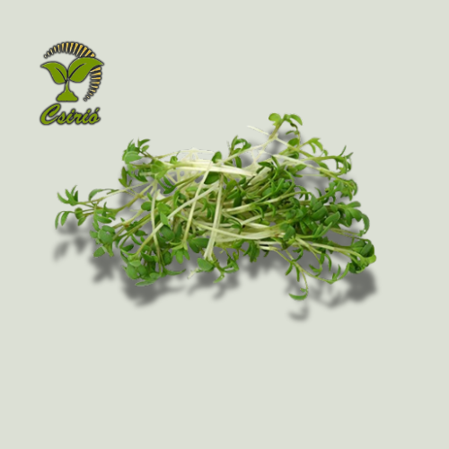 Kresse Microgreen Samen 50g