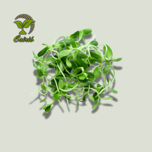 Bockshornklee-Microgreen-Samen 200g
