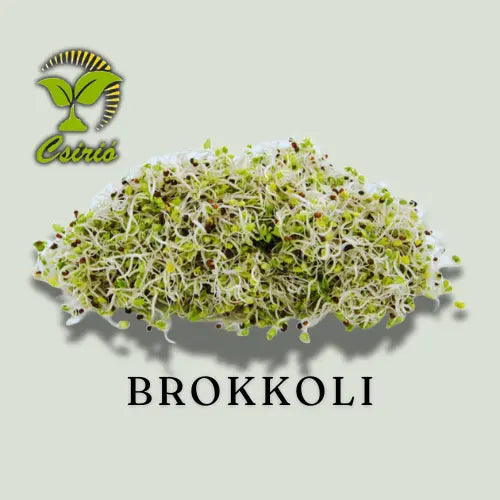Brokkolisprossensamen