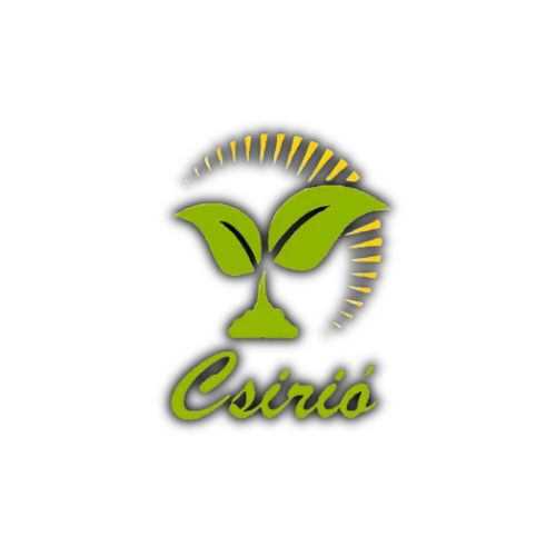 Csirió