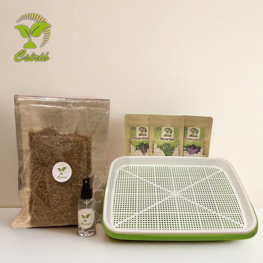 Set de cultivare Microplante Csirio +